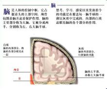 ชีววิทยา