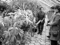 การระบายน้ำในเมือง