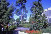 Montpellier ขนาดใหญ่สอง