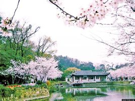 หลังจากที่หินเมือง