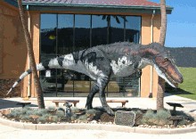 Daspletosaurus