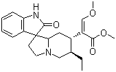 Rhy