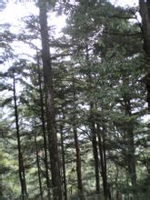 Huangsang แห่งชาติพื้นที่สงวน