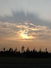 crepuscular