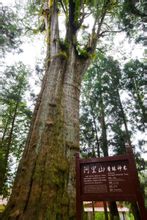 Alishan