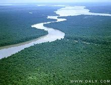 แม่น้ำอเมซอน