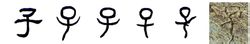 เด็ก