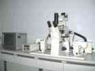 เทคนิค Microinjection