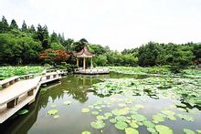 จีนมหาวิทยาลัยเทคโนโลยี
