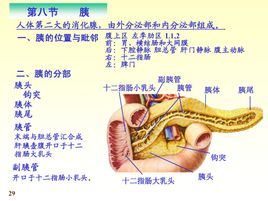 ต บอ อน หน า 2 โลกความร สาราน กรม