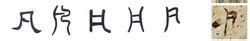 ทั้งหมด