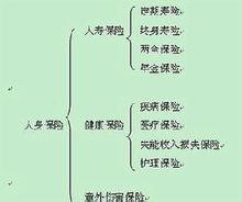 ประกันชีวิต: ชีวิตของผู้คนและร่างกายของวัตถุของการประกัน