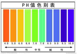 อัลคาไลน์