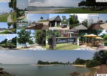 ชางงี