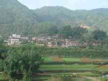 ทะเลหมู่บ้าน: หมึกยูนนาน Pu'er กวาดล้างเขตเหมยเจียง Zhenhai