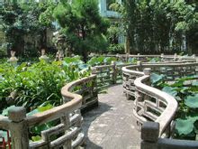 Songyusheng ปาร์ค